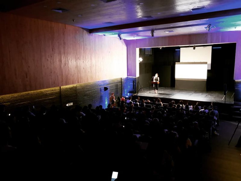 Asociación Patrimonial Cultural de la Región de Los Ríos y Ceina de Santiago buscan generar alianzas estratégicas en el ámbito cultural