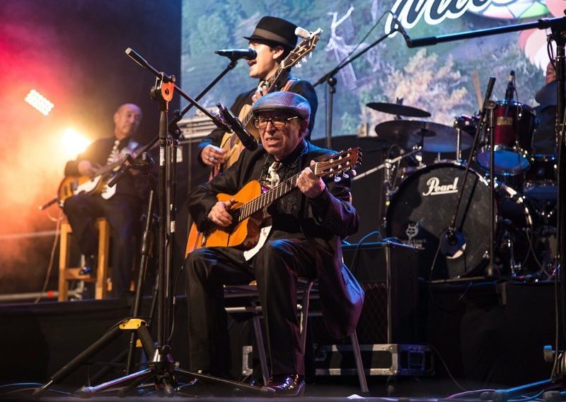 Festival “Alerce Milenario” se realizará desde el Teatro del Club Alemán la próxima semana