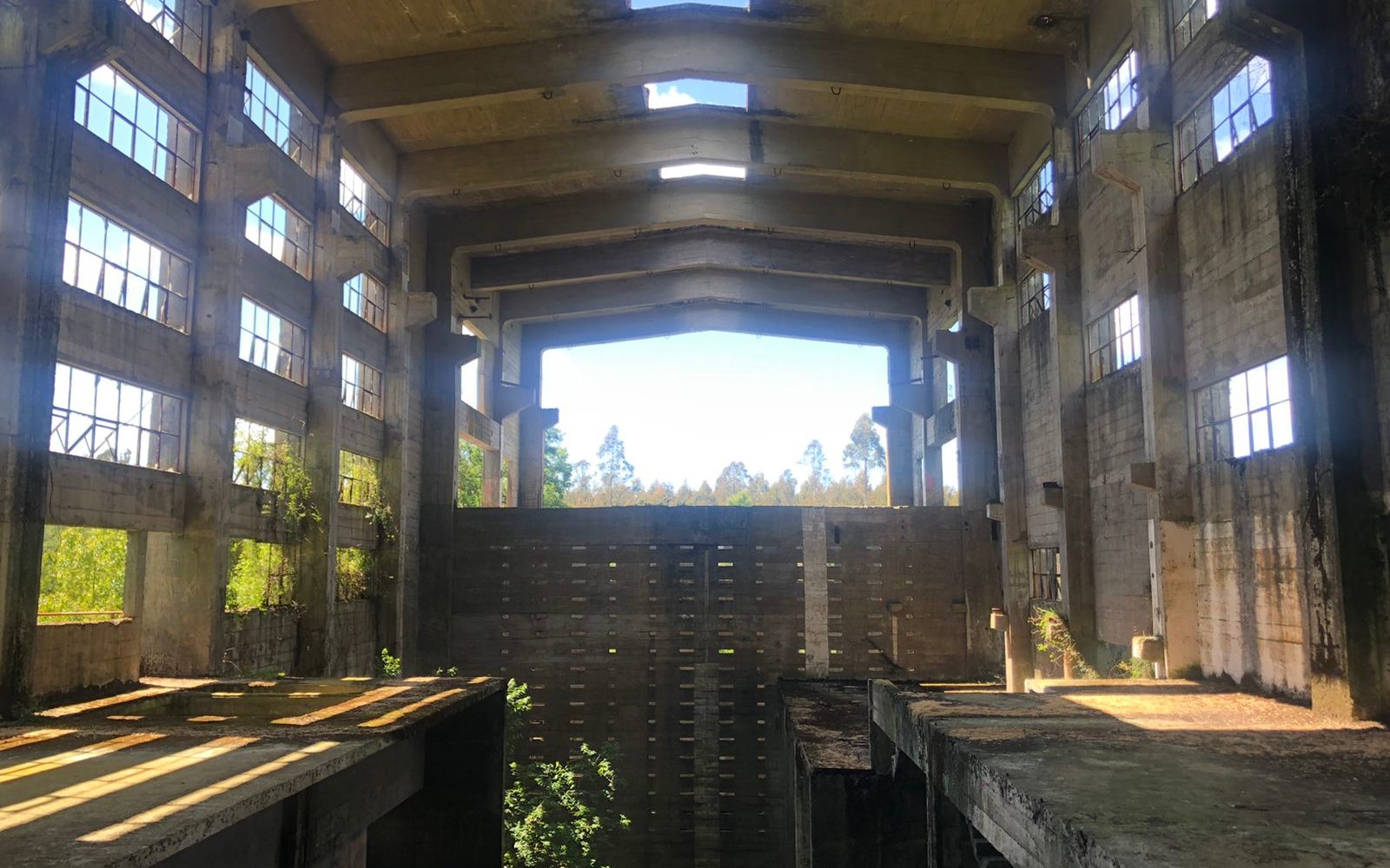 Mesa Técnica de trabajo visitó las Ruinas de la Carbonífera de Pupunahue