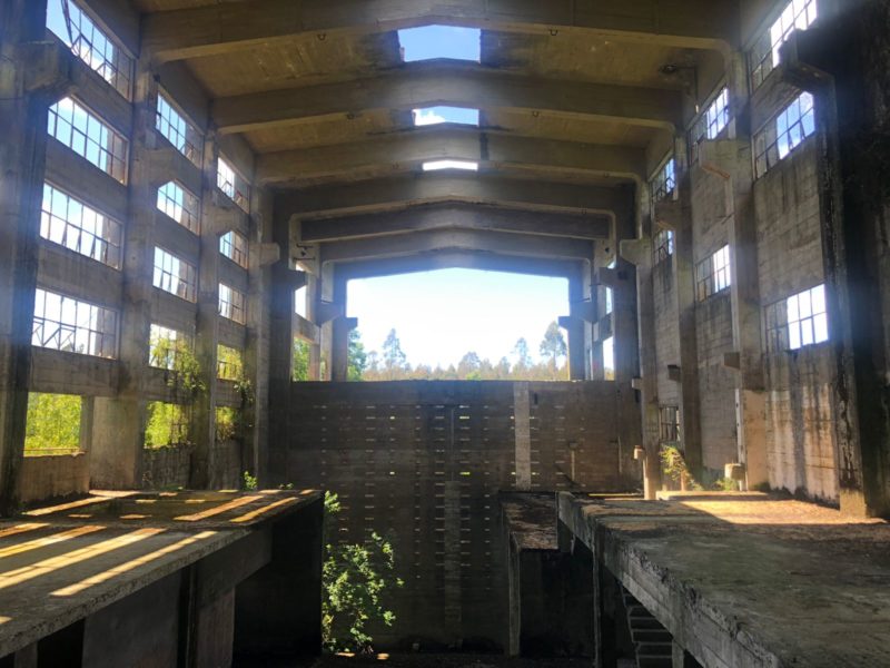 Mesa Técnica de trabajo visitó las Ruinas de la Carbonífera de Pupunahue