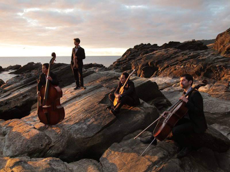 Una década de música: “Patagonien Quartett” celebrará su aniversario en el Teatro Regional Cervantes de Valdivia