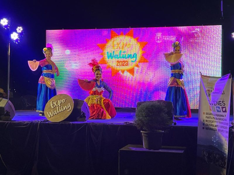 [Columna de opinión] <strong>Encuentro Internacional de Folklore en Panguipulli</strong>