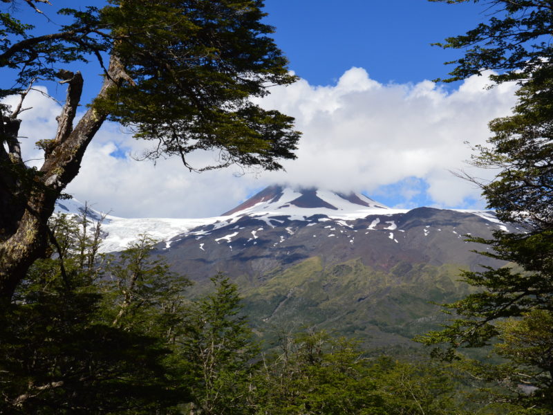 [Columna de opinión] Cultura en Panguipulli: un eje primordial