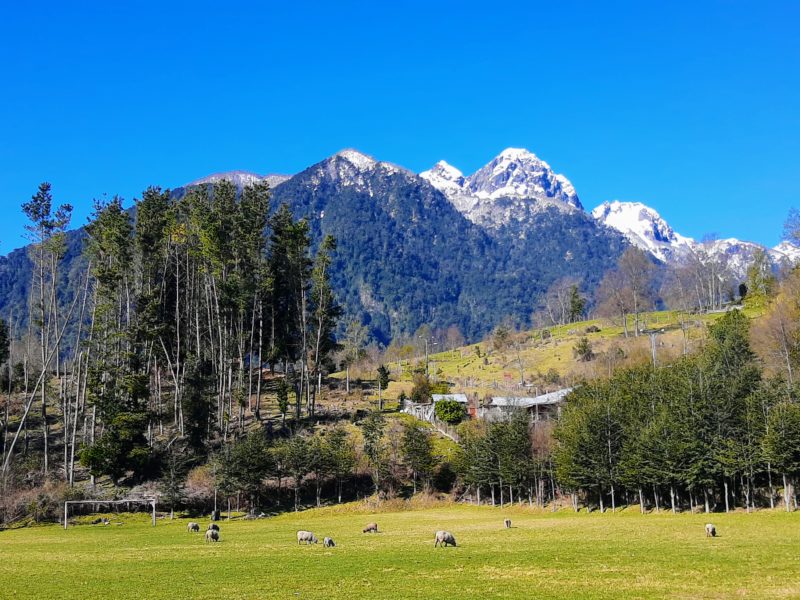 [Columna de opinión] Rutas Patrimoniales en la comuna de Futrono
