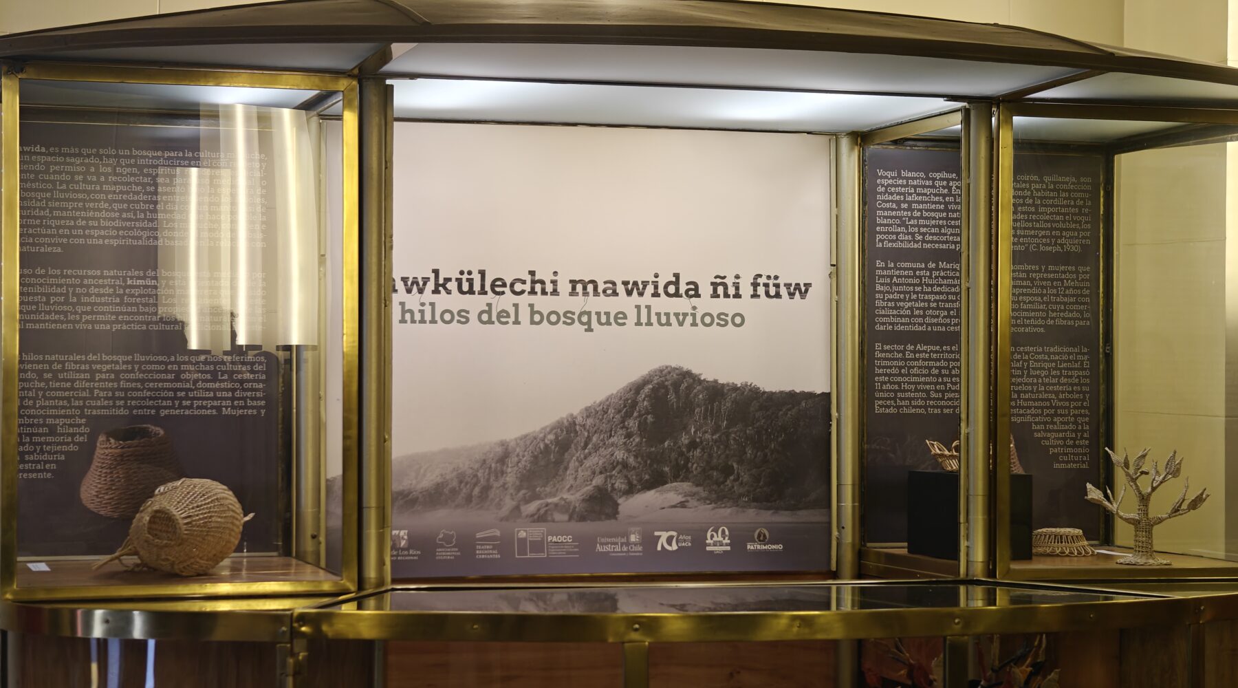 Museos UACh y Asociación Patrimonial Cultural presentan la exposición’Mawkülechi Mawida ñi füw. Los hilos del bosque lluvioso'”