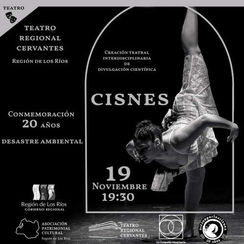 Teatro: “Cisnes” en el Teatro Regional Cervantes